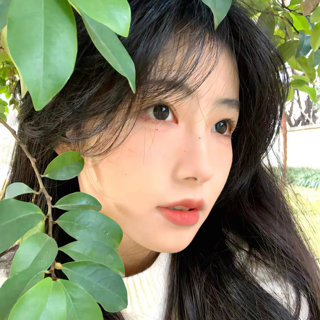 沼泽王的女儿