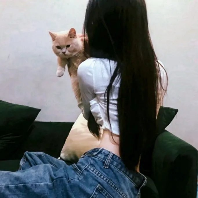 娜娜的玫瑰战争